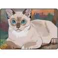 thumbnail image 1 of Coolnut Lightweight Soft Area Rugs 60 x 39 inch (5'x 3'3"), House Cat Floor Mat for Kids Playing Room Hardwood Floor Living Room Nursery Rugs, 1 of 6