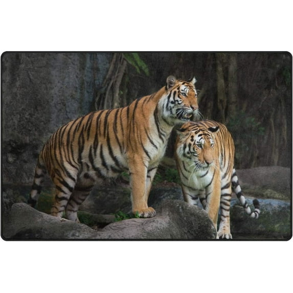 Coolnut Lightweight Soft Area Rugs 60 x 39 inch (5'x 3'3"), Tigers On The Outside Floor Mat for Kids Playing Room Hardwood Floor Living Room Nursery Rugs