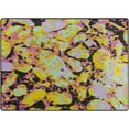 thumbnail image 1 of Coolnut Lightweight Soft Area Rugs 63 x 48 in, Abstract Modern Pattern in Grunge Floor Mat for Kids Playing Room Hardwood Floor Living Room Nursery Rugs, 5'3" x 4', 1 of 6