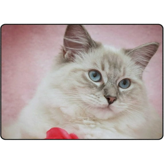 Coolnut Lightweight Soft Area Rugs Romantic Ragdoll Kitten Floor Mat for Kids Playing Room Hardwood Floor Living Room 80 x 58 inch Nursery Rugs
