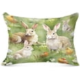 thumbnail image 1 of Coolnut Lovely Rabbits Plush Pillow Case, Zippered Bed Pillow Pillowcases, Super Soft and Cozy Pillowcase Covers for Sleep Decor Giftsation - Queen Size 20x30in, 1 of 7