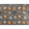 thumbnail image 1 of Coolnut Multicolor Cats Lightweight Carpet Mats, 5'3" x 4' Area Soft Rugs, Floor Mat Rug Home Decoration for Kids Room Living Room, 63"x 48", 1 of 6