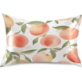 thumbnail image 1 of Coolnut Pink Peach Satin Pillowcase for Hair and Skin Silk Pillowcase, Queen Size(20x30 inches) - Slip Cooling Satin Pillow Covers with Envelope Closure（571） Home Decor Gifts, 1 of 7
