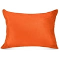 thumbnail image 1 of Coolnut Pure Plain Orange Zipped Velvet Pillowcases 20x40 in, Soft and Cozy Decor Giftsative Plush Pillow Case with Hidden Zipper for Bedroom, Sofa, Couch449, 1 of 7