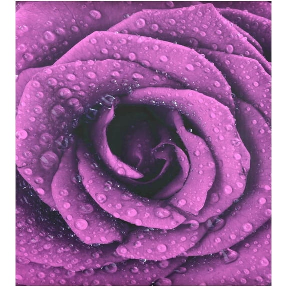 Coolnut Purple Rose Dishwasher Magnet Cover, Magnetic Refrigerator Panel Decal Wash Machine Front Door Decorative Cover for Home Kitchen Farmhouse Decor, 23"x 26"