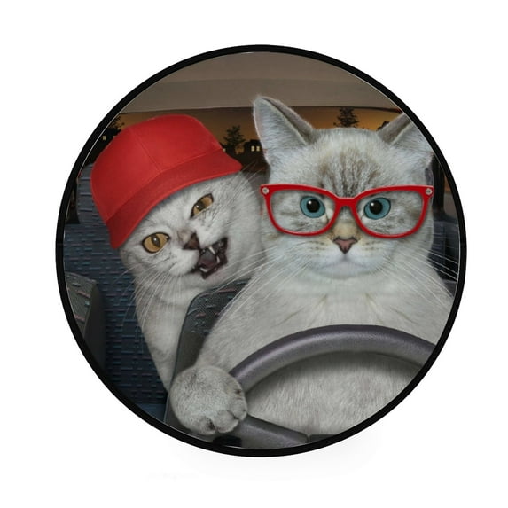 Coolnut Round Rugs for Living Room, A Cat Ashen With His Friend In Non-Slip Coral Velvet Long Runner Rugs, Washable Water Absorbent Mat Carpet for Bedroom Kitchen Kids Room