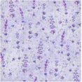 thumbnail image 1 of Coolnut Set of 6 Llavender Botanical Satin Napkin Square 20 Inches Table Napkins Soft Smooth Decorative Napkins for Wedding Banquet Party Decoration, 1 of 6