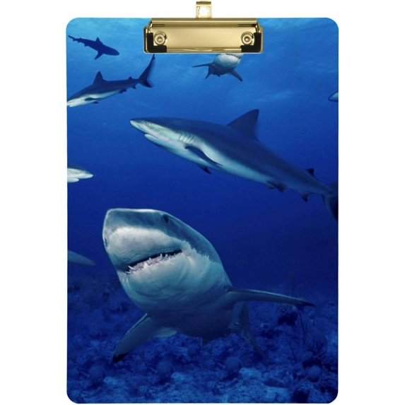 Coolnut Shark Clipboard, Acrylic Standard A4 Letter Size Clip Board with Low Profile Clip for Office, Classroom, Doctor, Nurse and Teacher, 12.5"x9"