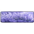 thumbnail image 1 of Coolnut Soft Non-Slip Washable Carpet 24 * 72In Runner Rug Elastic Kitchen Relieve Foot Pressure Bathroom Entrance (6 PCS of Non-Slip Stickers)-Periwinkle Blue Lavender Home Decor Gifts, 1 of 7