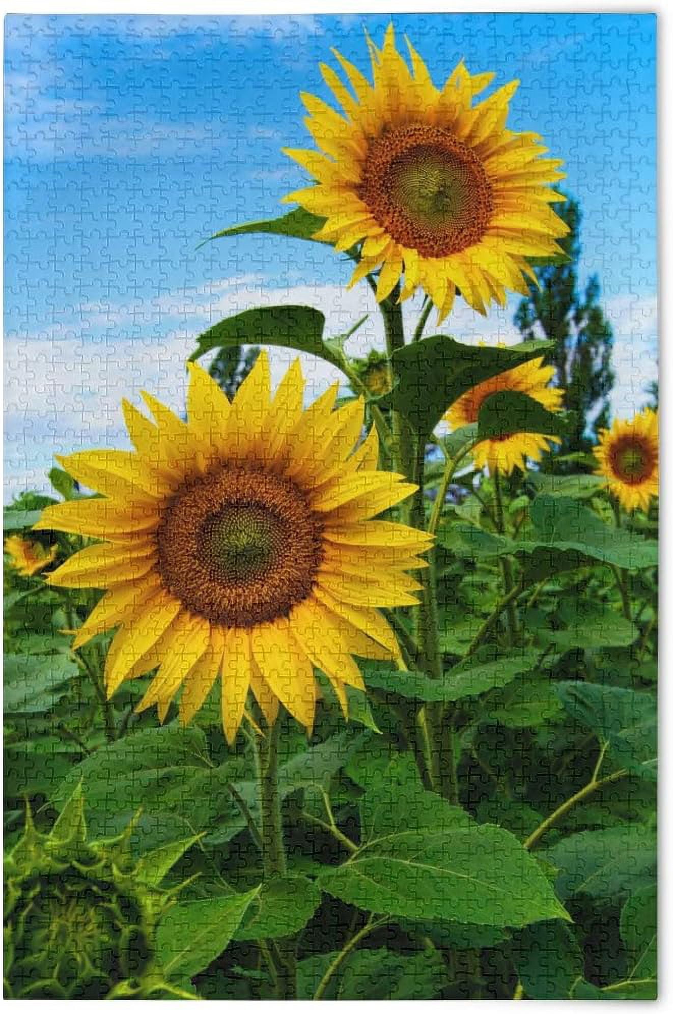 Coolnut Summer Sunflower Flowers Floral Jigsaw Puzzles for Adults 1000