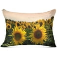 thumbnail image 1 of Coolnut Sunflower Field Pillowcase Standard Size, Super Soft Pillow Shams Covers, Plush Cozy Pillow Cases with Zipper, 20" X 26"（142） Home Decor Gifts, 1 of 6