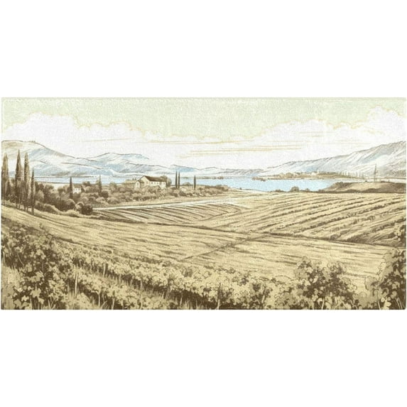 Coolnut Western Landscape View Bath Mats, Soft Absorbent Plush Bathroom Rugs with Non Slip Rubber Back, Machine Washable Shaggy Bath Carpet for Kitchen Tub Showers , 39x20 in Home Decor Gifts
