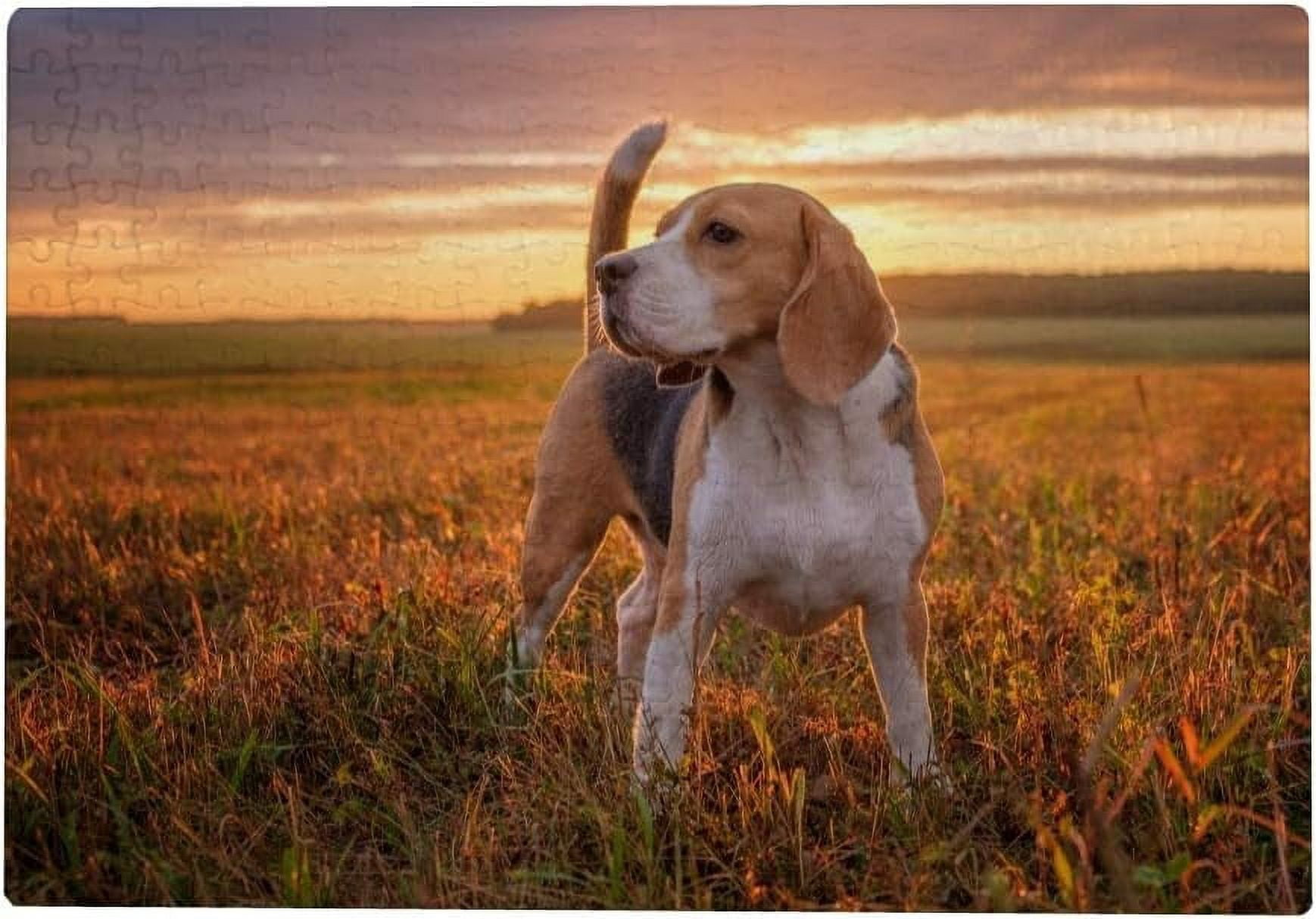 Jigsaw Puzzle - "Beagle Dogs" 500 Or 1000 Piece Fun Game For Adults & Kids, 20x15 Inch - View #13