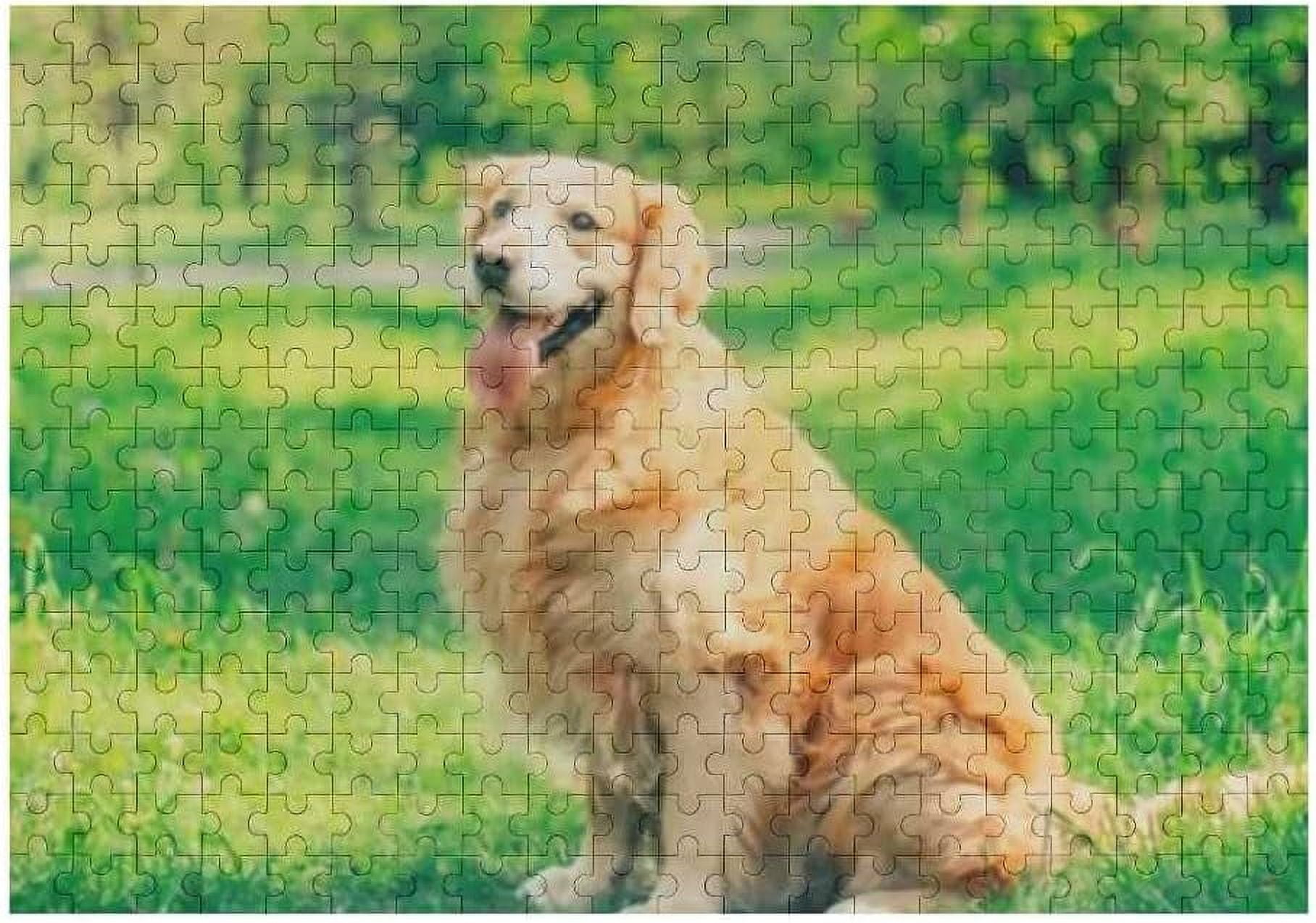 500 Piece Golden Retriever At Beach Jigsaw Puzzle - Wooden Adult Puzzles For Brain Games & Home Decor