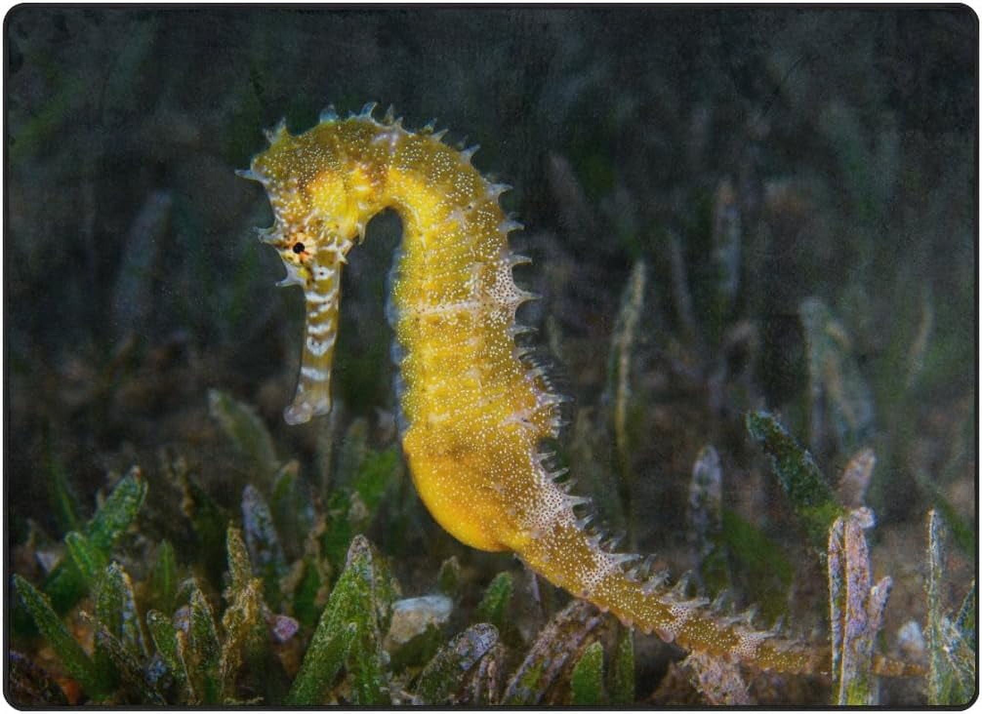 Coolnut Yellow Female Seahorse Area Rug Pad 80 x 58 inch 100 Light