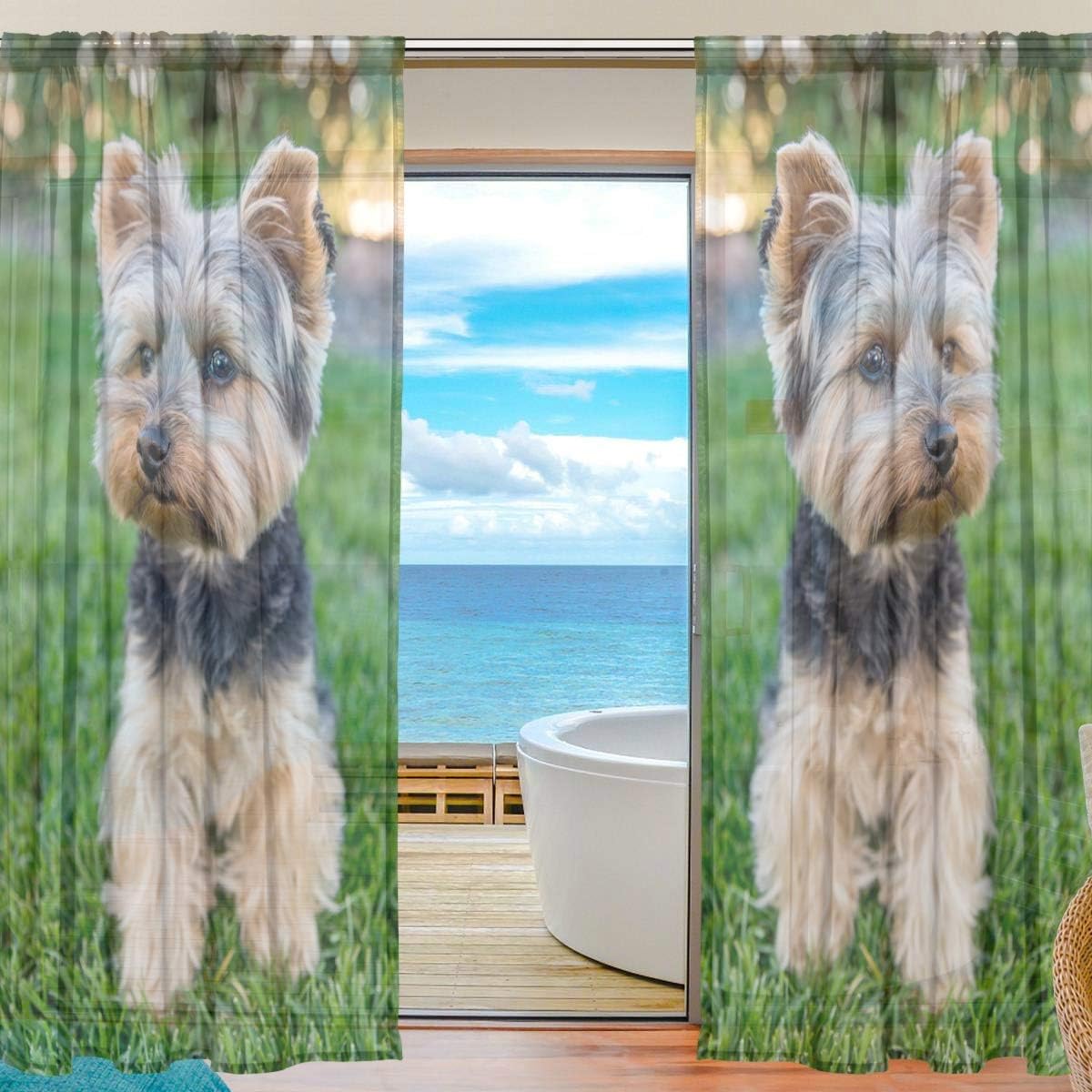 Fresh Look at Coolnut Yorkshire Terrier Dog On Grass Semi Sheer Curtains Window