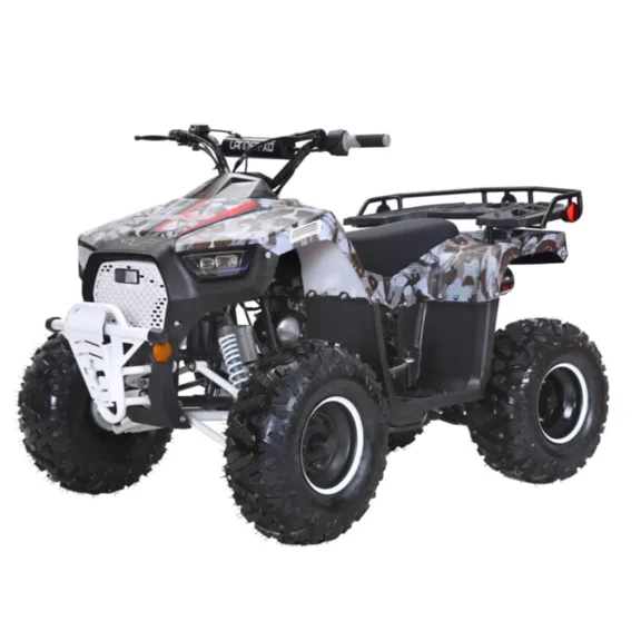 Coolster 120cc Fully Automatic Mini Sized ATV LANDER XD-125UF