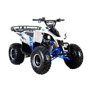 كولستر 125 cc التلقائي بالكامل منتصف الحجم الرياضة ATV 3125F2