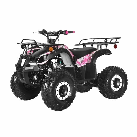 Coolster 125cc Fully Automatic Mid Sized Utility ATV C5125XR8