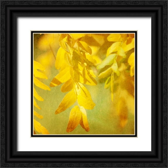 Coomes, Sylvia 12x12 Black Ornate Wood Framed with Double Matting Museum Art Print Titled - Autumn Photography II