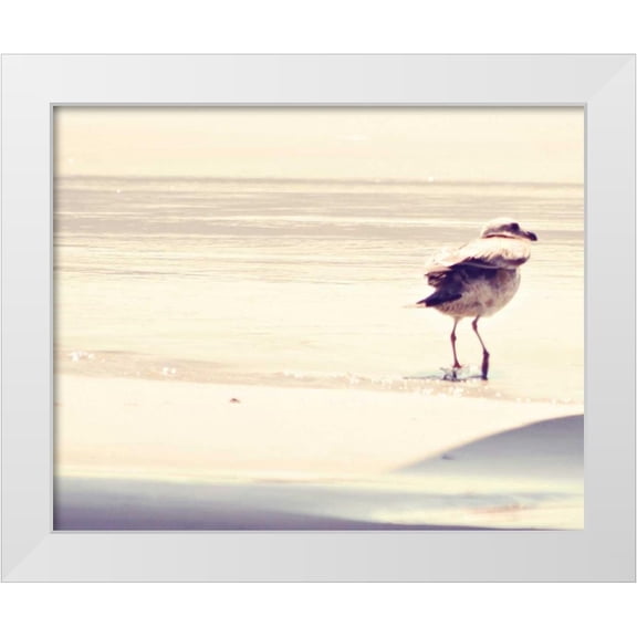 Coomes, Sylvia 14x12 White Modern Wood Framed Museum Art Print Titled - Bird at The Beach