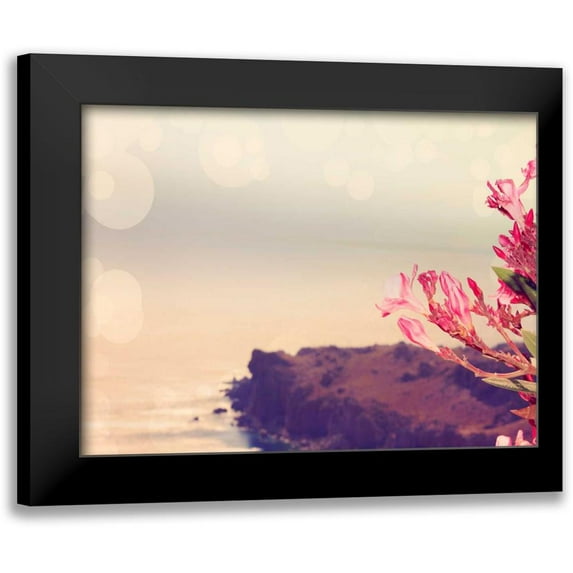 Coomes, Sylvia 18x15 Black Modern Framed Museum Art Print Titled - Flowers in Paradise III