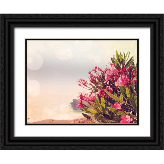 Coomes, Sylvia 18x15 Black Ornate Wood Framed with Double Matting Museum Art Print Titled - Flowers in Paradise II