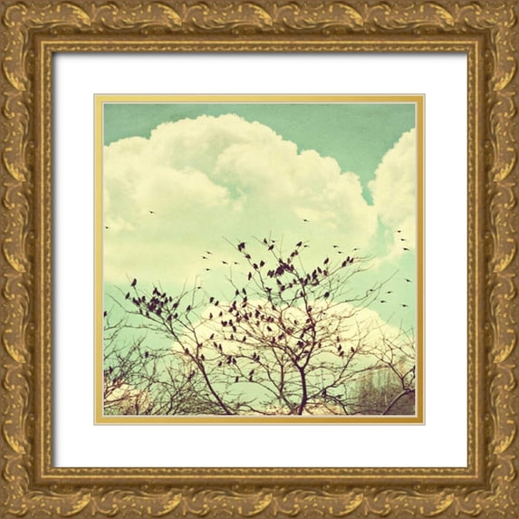 Coomes, Sylvia 26x26 Gold Ornate Wood Framed with Double Matting Museum Art Print Titled - Birds of a Feather