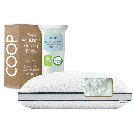 Coop Home Goods Eden Pillow, Queen, Medium-Soft Cooling Gel Foam for Back, Stomach, Side Sleepers