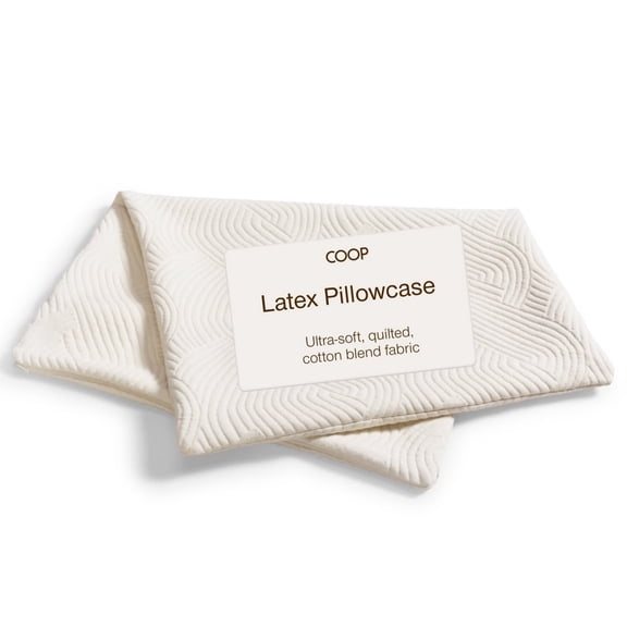 Coop Sleep Goods Latex Pillow Cover Queen, Ultra-Soft, Breathable Cotton-Blend Pillowcase with Zipper, Machine Washable, Eco-Friendly, Quilted Cover