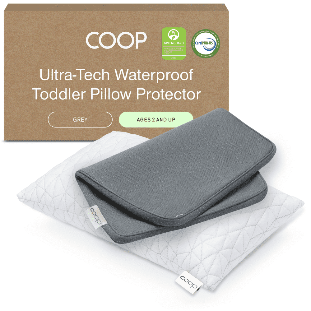 Coop Sleep Goods Memory Foam Kids Pillow with Grey Pillow Protector