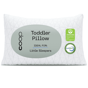 Coop Home Goods Memory Foam Toddler Pillow for Sleeping