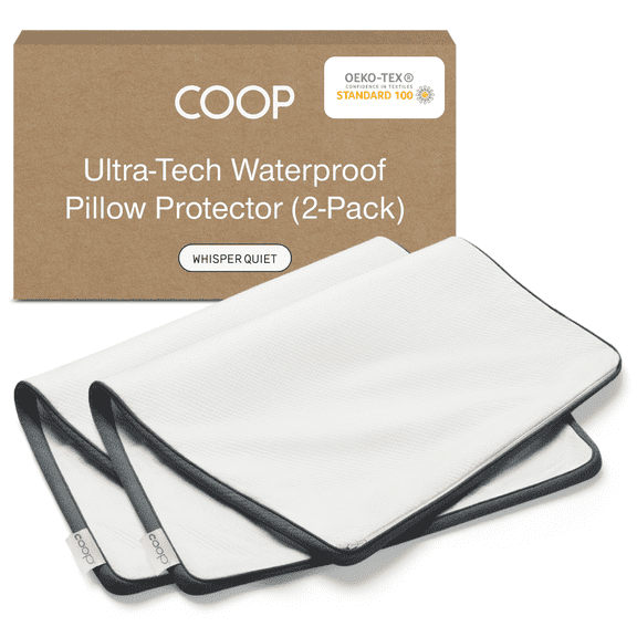 Coop Home Goods Queen Pillow Protector with Zipper, 2 Pack