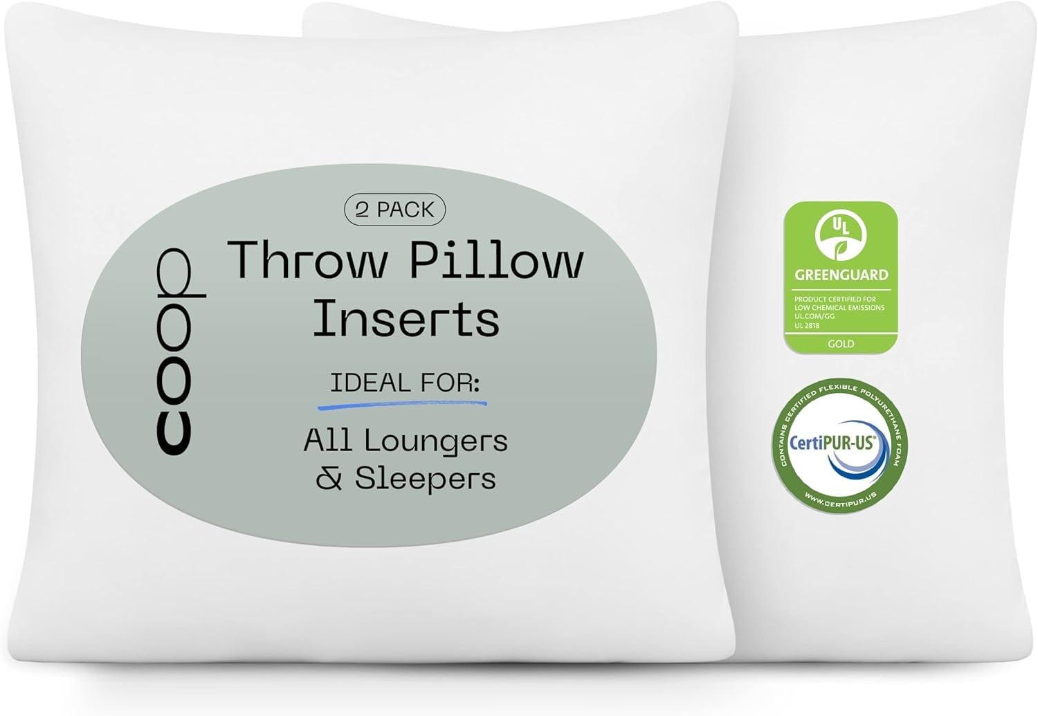 Coop Home Goods White Memory Foam Throw Pillow Inserts, 20x20, Set of 2