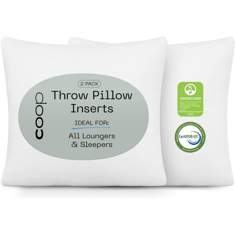 Walmart pillow cheap inserts 20x20