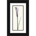 thumbnail image 1 of Coop, Robert 12x24 Black Ornate Wood Framed with Double Matting Museum Art Print Titled - Calla Lily, 1 of 4