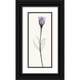 thumbnail image 1 of Coop, Robert 12x24 Black Ornate Wood Framed with Double Matting Museum Art Print Titled - Lisianthus, 1 of 4