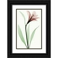 thumbnail image 1 of Coop, Robert 17x24 Black Ornate Wood Framed with Double Matting Museum Art Print Titled - Lily II, 1 of 4