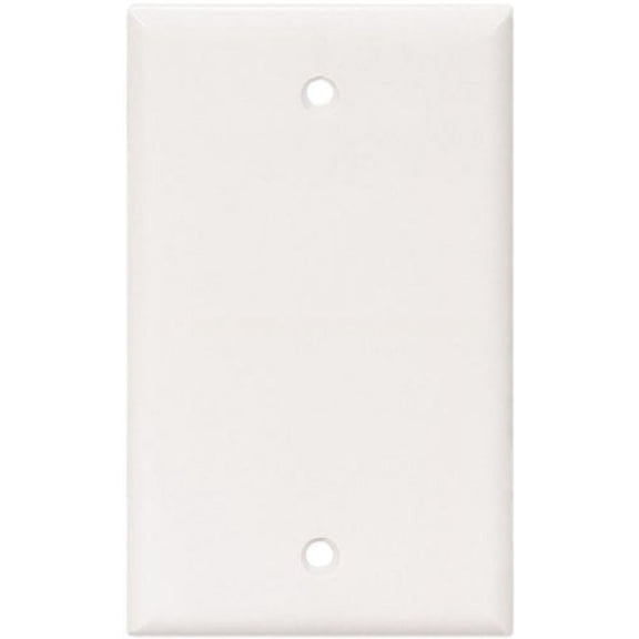 Cooper 2129W White Single Gang Blank Box Mount Wall Plate