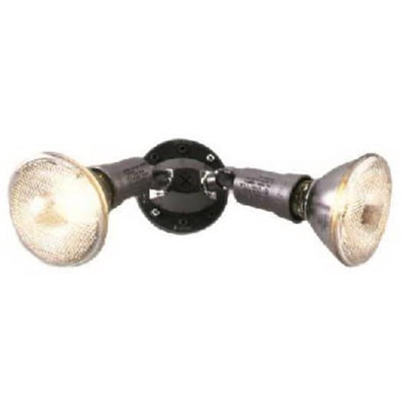 Cooper Lighting 2-Light Outdoor Spotlight