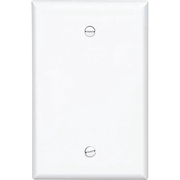 Cooper Wiring PJ13W 1-Gang Box Mount Blank Plate, White