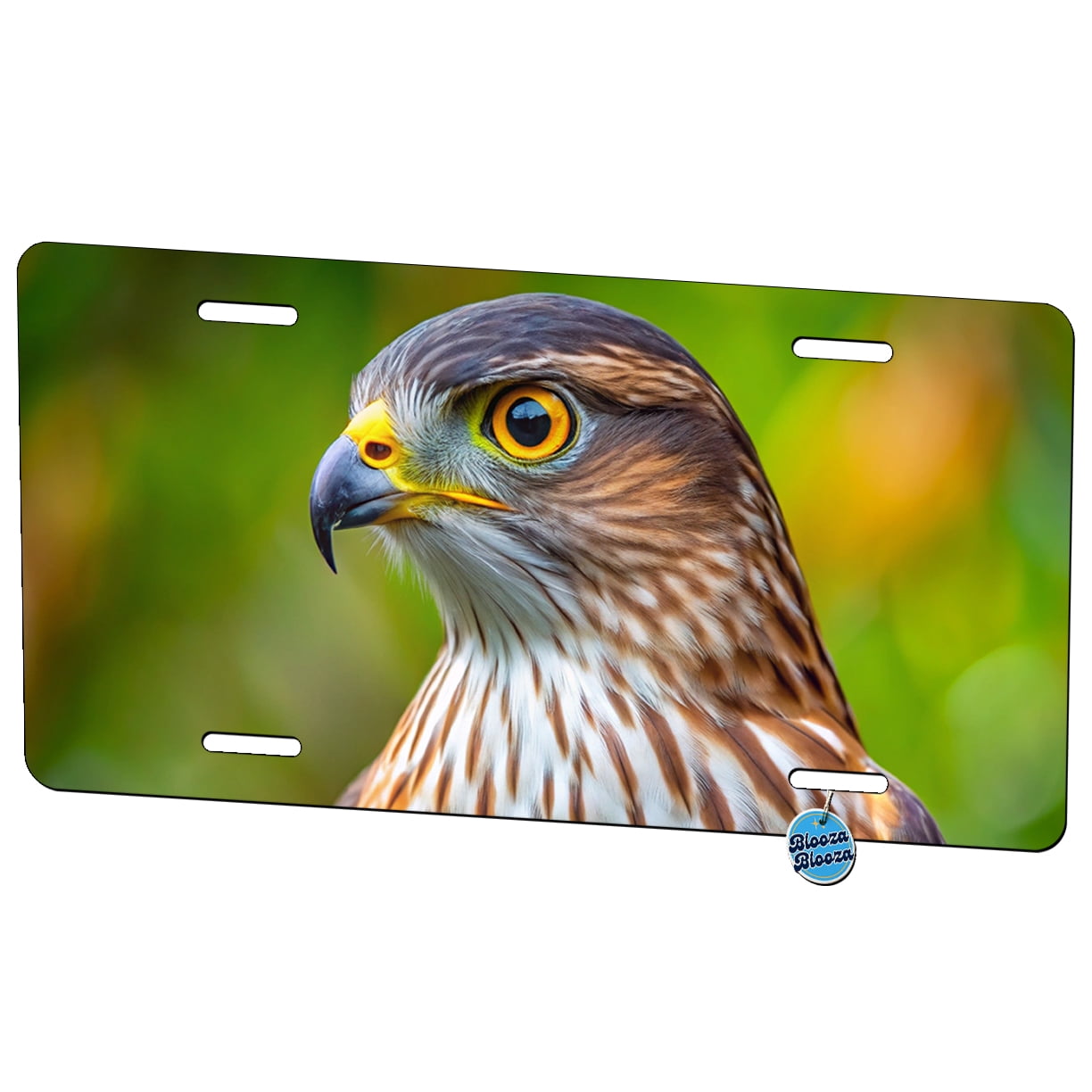 Hawk Plate Cooper's Hawk Raptor Bird Of Prey Metal Novelty License Plate - Walmart.com
