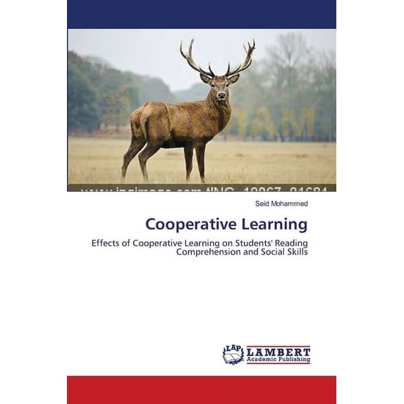 Cooperative Learning (Paperback)