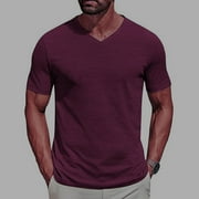 COORDERS George Men's Solid V-Neck T-Shirt with Short Sleeves, Lightweight Casual Tee for Men's and Big Men's ,Purple,L