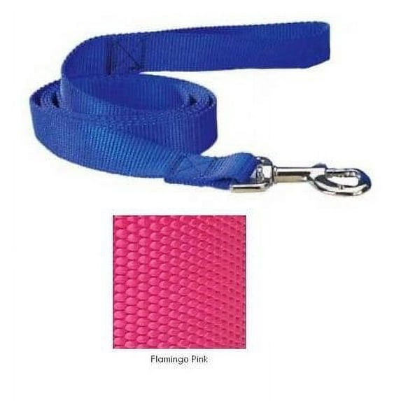 Coordinating Nylon Dog Collars Leads & Harnesses for Dogs Choose Sizes & Colors(4 Ft x 5/8 Inch Lead - Flamingo Pink)