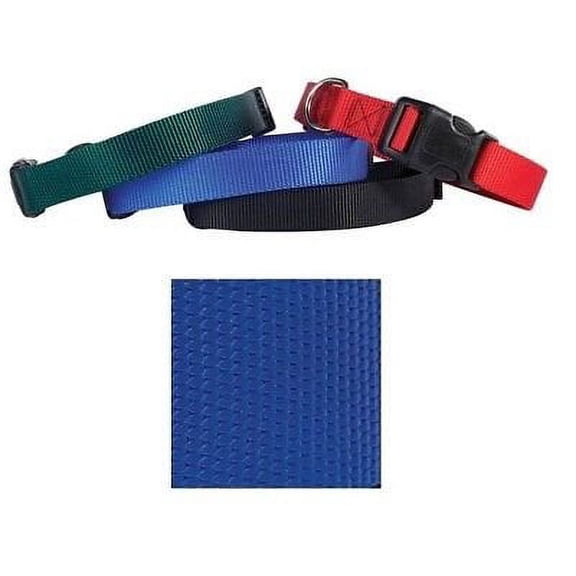 Coordinating Nylon Dog Collars Leads & Harnesses for Dogs Choose Sizes & Colors(6 to 10 x 3/8 Inch Collar - Blue)