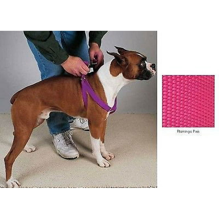 Dog leads top and harnesses