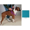 thumbnail image 1 of Coordinating Nylon Dog Collars Leads & Harnesses for Dogs Choose Sizes & Colors(9 to 15 x 3/8 Inch Harness - Malibu Blue), 1 of 1