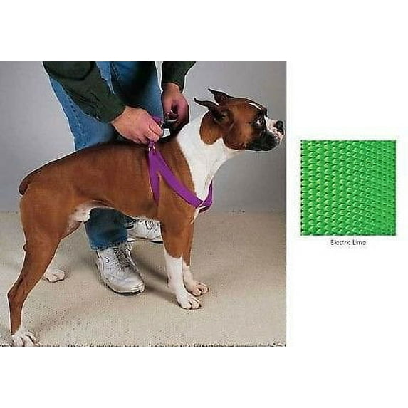Coordinating Nylon Dog Collars Leads & Harnesses for Dogs Choose Sizes & Colors (Harness - Electric Lime,25 to 40 x 1 Inch)