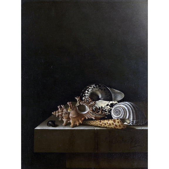 Coorte Shells On A Stone Plinth Painting Extra Large XL Wall Art Poster Print